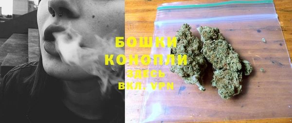 ГАЛЛЮЦИНОГЕННЫЕ ГРИБЫ Армянск