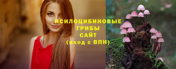 ГАЛЛЮЦИНОГЕННЫЕ ГРИБЫ Армянск