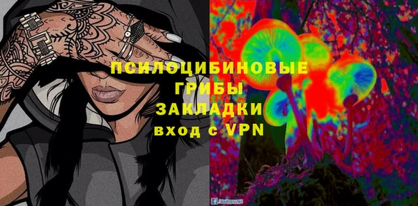 ГАЛЛЮЦИНОГЕННЫЕ ГРИБЫ Армянск