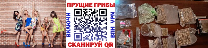 Галлюциногенные грибы Psilocybine cubensis даркнет сайт Верхоянск